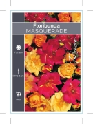 Picture of ROSE MASQUERADE (FL)                                                                                                                                  