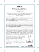 Picture of ROSE MASQUERADE (FL)                                                                                                                                  