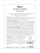Picture of **ROSE REGENSBERG (FL)                                                                                                                                