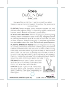 Picture of ROSE DUBLIN BAY CLIMBING                                                                                                                              
