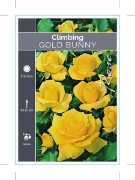 Picture of ROSE GOLD BUNNY CLIMBING                                                                                                                              