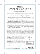 Picture of **ROSE PETER FRANKENFELD CLIMBING                                                                                                                     