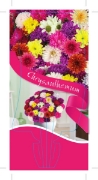Picture of CHRYSANTHEMUM - MIXED PICTURE (UNNAMED VARIETY)                                                                                                       