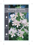 Picture of WESTRINGIA FRUTICOSA NATIVE OR COAST ROSEMARY                                                                                                         