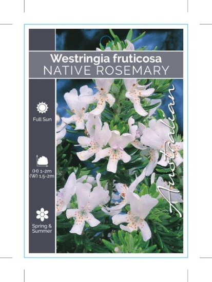 Picture of WESTRINGIA FRUTICOSA NATIVE OR COAST ROSEMARY                                                                                                         
