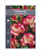 Picture of ROSE CARNIVAL (FL)                                                                                                                                    