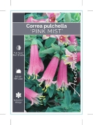 Picture of CORREA PULCHELLA PINK MIST                                                                                                                            
