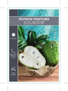 Picture of FRUIT SOURSOP ANNONA MURICATA                                                                                                                         