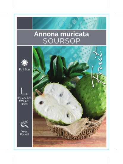 Picture of FRUIT SOURSOP ANNONA MURICATA                                                                                                                         
