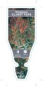Picture of MELALEUCA CLARET TOPS                                                                                                                                 