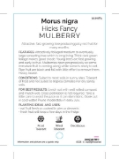 Picture of MULBERRY HICKS FANCY                                                                                                                                  