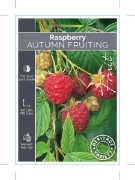 Picture of FRUIT RASPBERRY AUTUMN FRUITING (HERITAGE)                                                                                                            