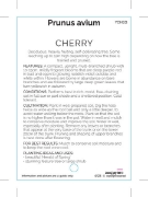 Picture of FRUIT CHERRY (UNNAMED VARIETY)                                                                                                                        