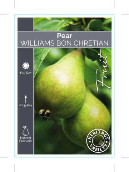 Picture of FRUIT PEAR WILLIAMS BON CHRETIEN (HERITAGE)                                                                                                           