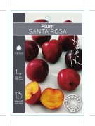 Picture of FRUIT PLUM SANTA ROSA (HERITAGE)                                                                                                                      