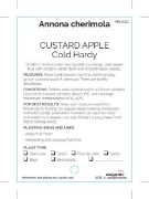 Picture of FRUIT CUSTARD APPLE COLD HARDY                                                                                                                        