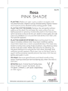Picture of ROSE PINK (UNNAMED VARIETY TICK BOX)                                                                                                                  