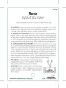 Picture of ROSE BANTRY BAY CLIMBING                                                                                                                              