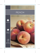 Picture of FRUIT PEACH (UNNAMED VARIETY)                                                                                                                         