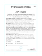 Picture of FRUIT APRICOT (UNNAMED VARIETY)                                                                                                                       
