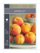 Picture of **FRUIT APRICOT (UNNAMED VARIETY) Jumbo Tag                                                                                                           