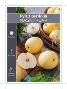 Picture of FRUIT NASHI Jumbo Tag                                                                                                                                 