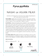 Picture of FRUIT NASHI Jumbo Tag                                                                                                                                 