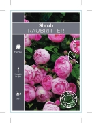 Picture of ROSE RAUBRITTER (OW)                                                                                                                                  