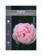 Picture of ROSE KATHRYN MORLEY (English)                                                                                                                         