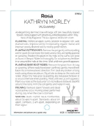 Picture of ROSE KATHRYN MORLEY (English)                                                                                                                         
