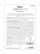 Picture of ROSE LORRAINE LEE (OW)                                                                                                                                