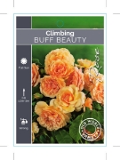 Picture of **ROSE BUFF BEAUTY (OW)                                                                                                                               