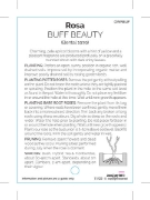 Picture of **ROSE BUFF BEAUTY (OW)                                                                                                                               