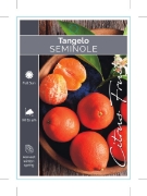 Picture of FRUIT CITRUS TANGELO SEMINOLE                                                                                                                         