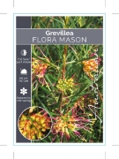 Picture of GREVILLEA FLORA MASON                                                                                                                                 