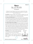 Picture of ROSE BLUE RIVER (HT)                                                                                                                                  