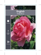 Picture of ROSE HERO (English)                                                                                                                                   