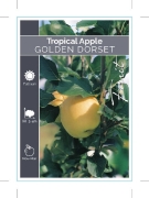 Picture of FRUIT APPLE TROPICAL GOLDEN DORSET                                                                                                                    