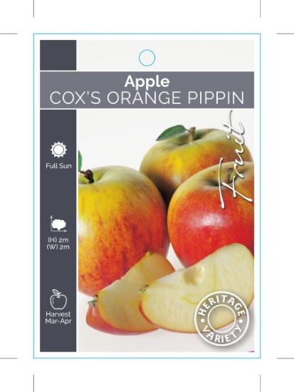 Picture of FRUIT APPLE COXS ORANGE PIPPIN (HERITAGE)                                                                                                             