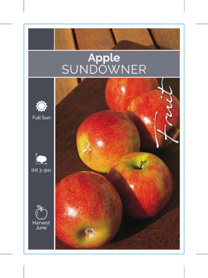 Picture of FRUIT APPLE SUNDOWNER                                                                                                                                 