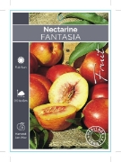 Picture of FRUIT NECTARINE FANTASIA (HERITAGE) Jumbo Tag                                                                                                         
