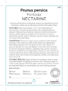 Picture of FRUIT NECTARINE FANTASIA (HERITAGE) Jumbo Tag                                                                                                         