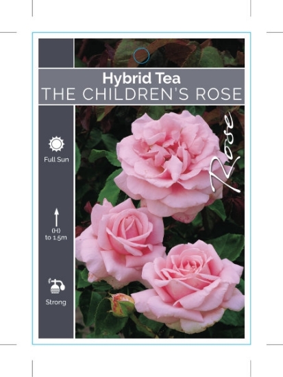 Picture of ROSE THE CHILDRENS ROSE (HT)                                                                                                                          