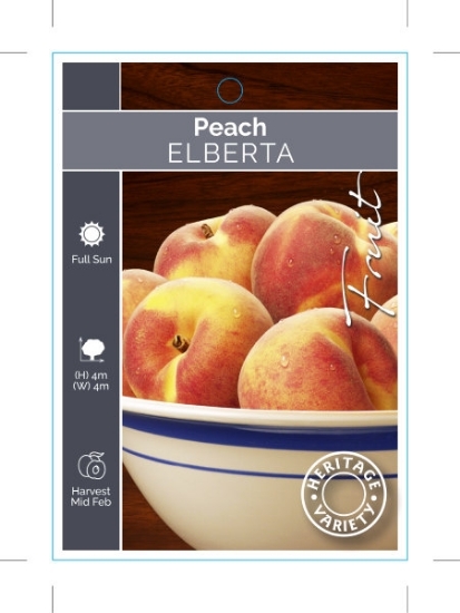 Picture of FRUIT PEACH ELBERTA (HERITAGE)                                                                                                                        