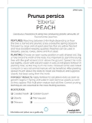 Picture of FRUIT PEACH ELBERTA (HERITAGE) Jumbo Tag                                                                                                              