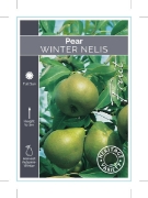 Picture of FRUIT PEAR WINTER NELIS (HERITAGE)                                                                                                                    