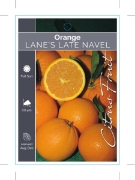 Picture of FRUIT CITRUS ORANGE LANES LATE NAVEL                                                                                                                  