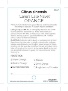 Picture of FRUIT CITRUS ORANGE LANES LATE NAVEL                                                                                                                  