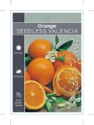 Picture of FRUIT CITRUS ORANGE SEEDLESS VALENCIA                                                                                                                 