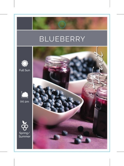 Picture of FRUIT BLUEBERRY (UNNAMED VARIETY)                                                                                                                     